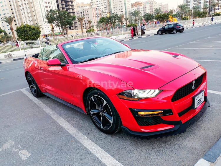 rojo Ford Mustang en alquiler en Abu-Dhabi 0