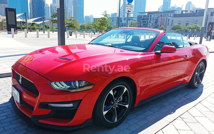 Rosso Ford Mustang in affitto a Abu-Dhabi