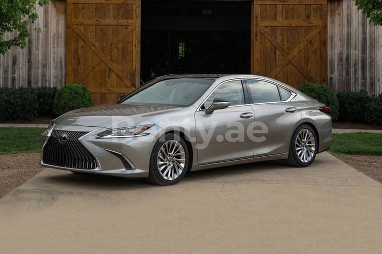 Silver Lexus ES Series for rent in Sharjah 2