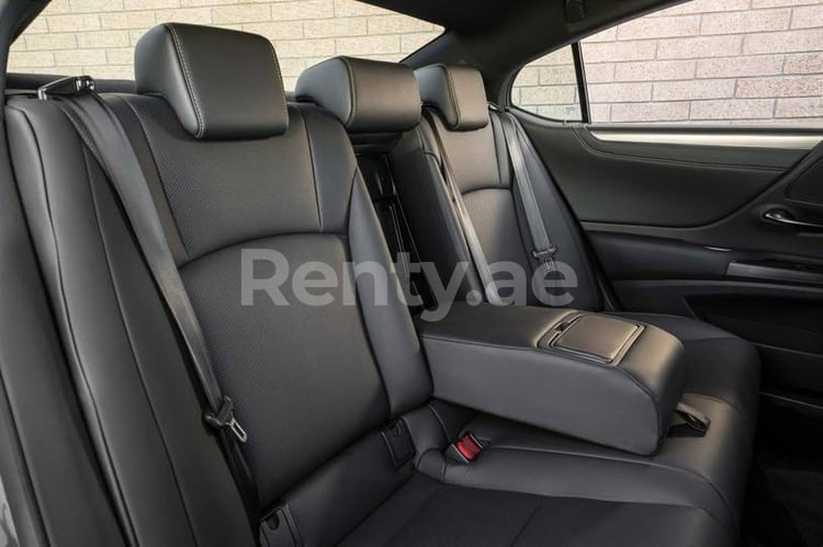 Silver Lexus ES Series for rent in Abu-Dhabi 14