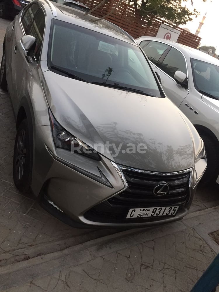 Silver Lexus NX Series for rent in Abu-Dhabi 2