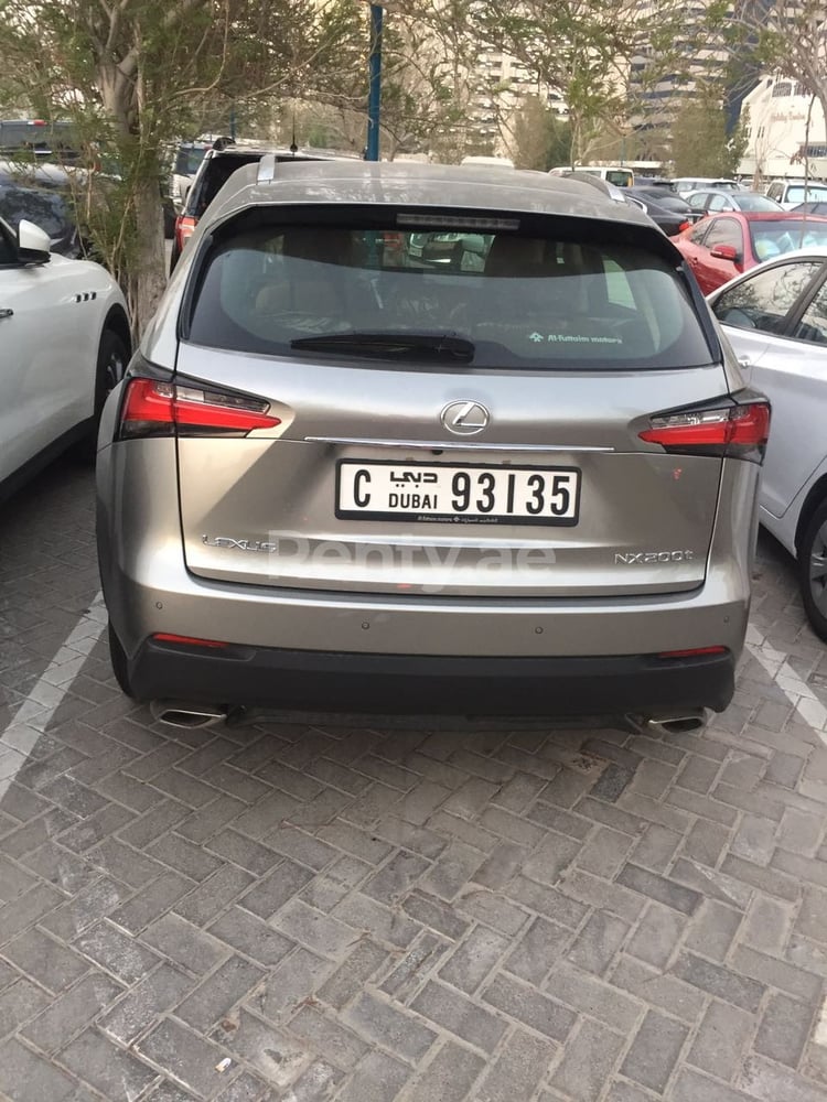 Silver Lexus NX Series for rent in Sharjah 3