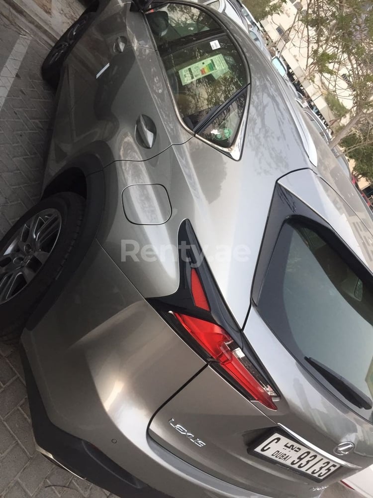 Silver Lexus NX Series for rent in Abu-Dhabi 4