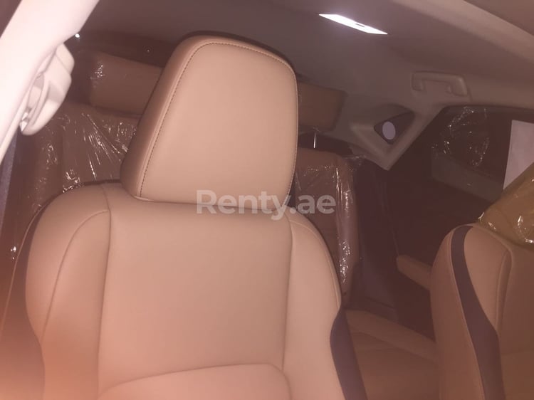 Silver LEXUS  NX 200 for rent in Abu-Dhabi 4