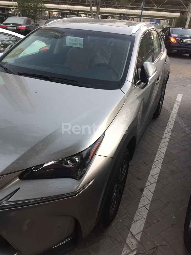 Silver LEXUS  NX 200 for rent in Sharjah 5