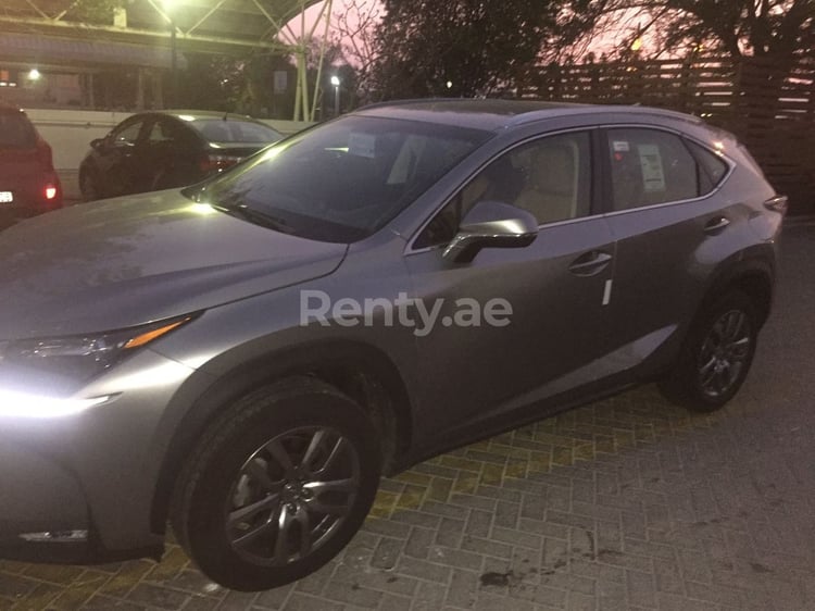 Silver LEXUS  NX 200 for rent in Sharjah 12