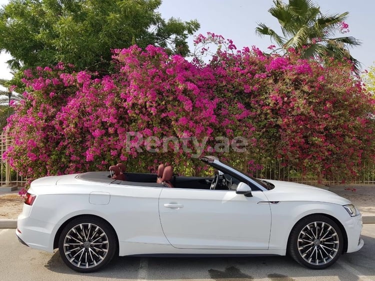 White Audi A5 for rent in Abu-Dhabi 0