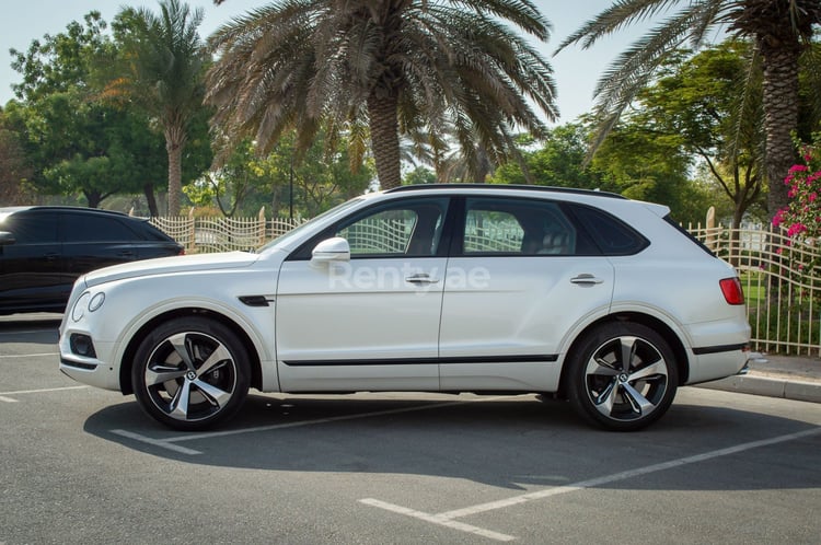 White Bentley Bentayga for rent in Abu-Dhabi 0