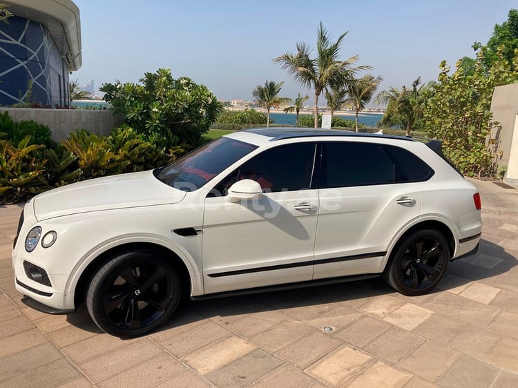 Blanc Bentley Bentayga en location à Dubai 2