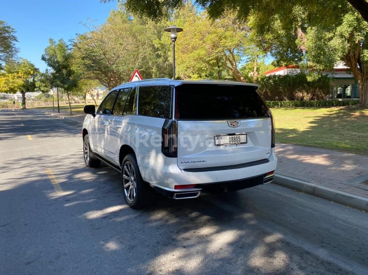 أبيض Cadillac Escalade Platinum للإيجار في أبو ظبي 2