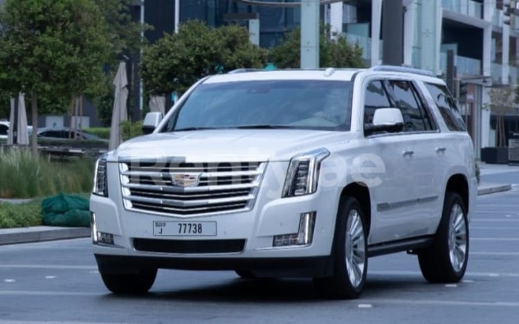 Bianca Cadillac Escalade Platinum in affitto a Dubai