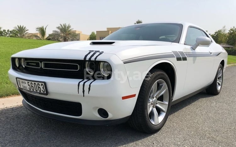 White Dodge Challenger for rent in Abu-Dhabi