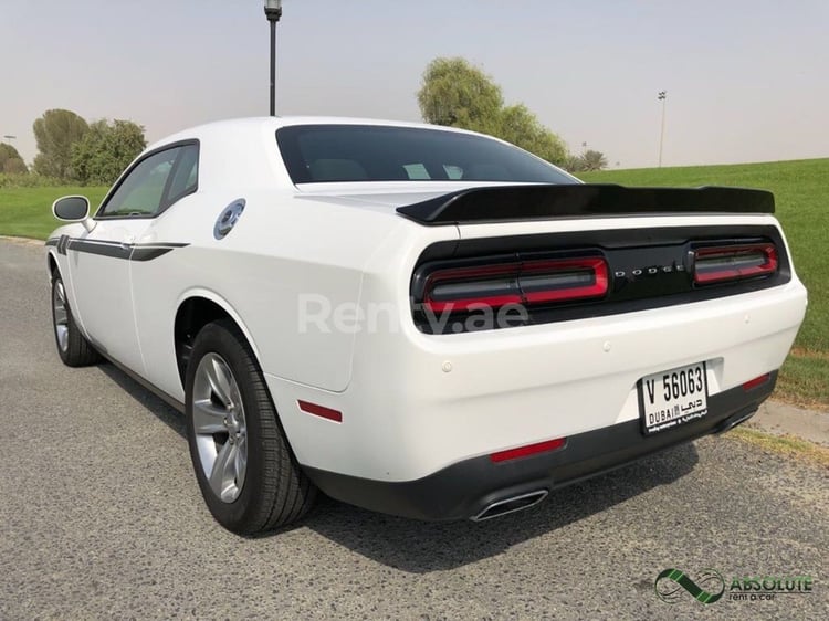 White Dodge Challenger for rent in Abu-Dhabi 0