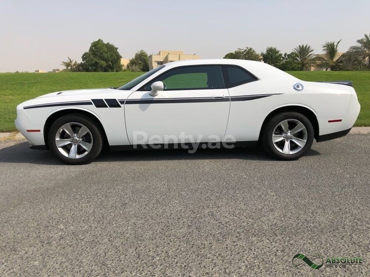 Blanco Dodge Challenger en alquiler en Abu-Dhabi 1