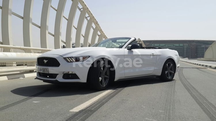 Blanc Ford Mustang Convertible en location à Dubai 2