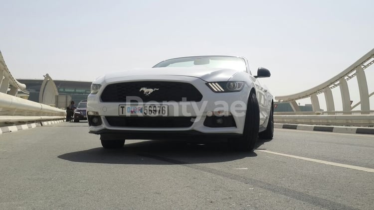 Blanco Ford Mustang Convertible en alquiler en Abu-Dhabi 3