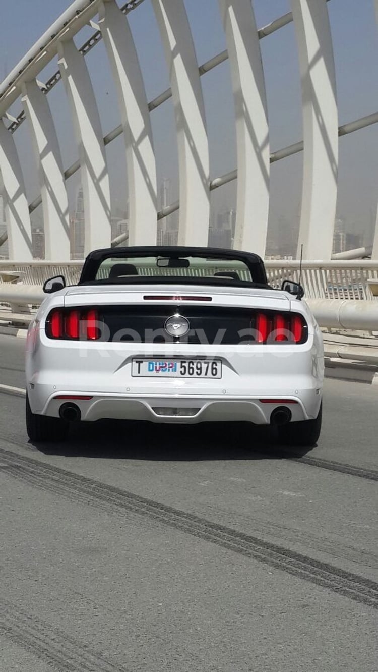 在沙迦租赁白色 Ford Mustang Convertible 4