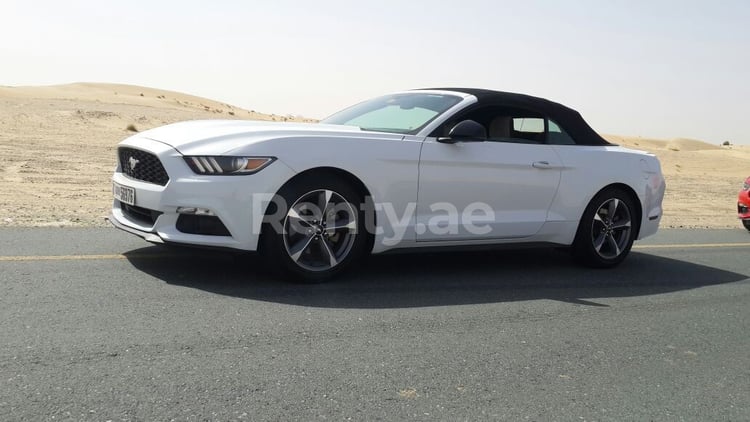 White Ford Mustang Convertible for rent in Dubai 5