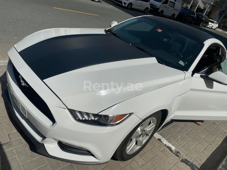 Blanc Ford Mustang Coupe en location à Abu-Dhabi 0