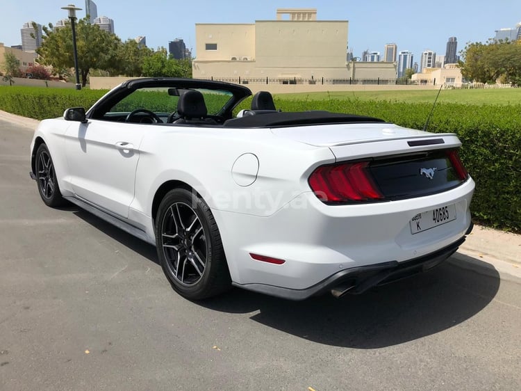 White Ford Mustang for rent in Sharjah 1