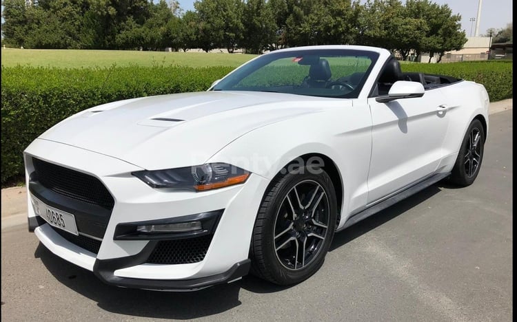 Blanco Ford Mustang en alquiler en Dubai