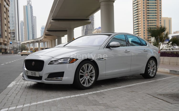 Blanc Jaguar XF en location à Abu-Dhabi