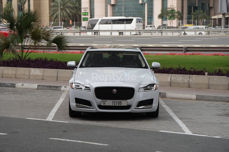 Blanc Jaguar XF en location à Sharjah 1