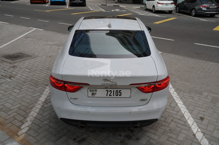 White Jaguar XF for rent in Sharjah 4