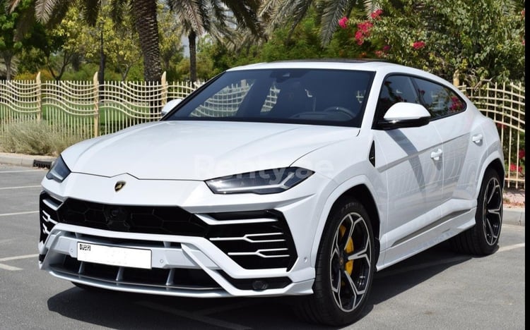 Bianca Lamborghini Urus in affitto a Dubai