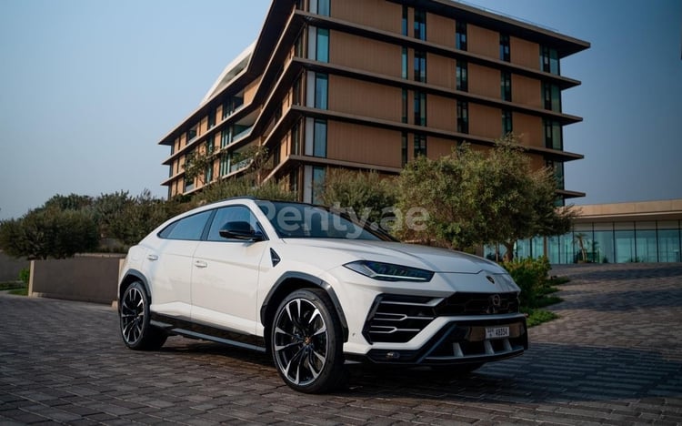 Bianca Lamborghini Urus in affitto a Sharjah