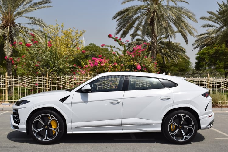 White Lamborghini Urus for rent in Abu-Dhabi 2