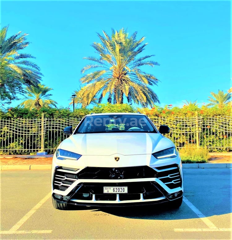 Blanco Lamborghini Urus en alquiler en Dubai 4