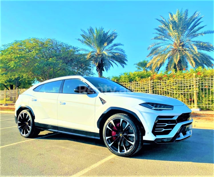 Blanco Lamborghini Urus en alquiler en Dubai 5