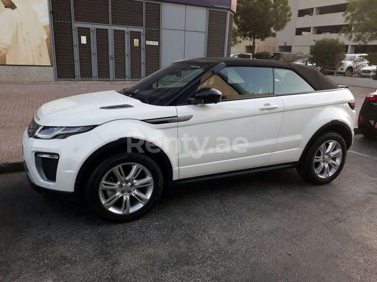 在迪拜租赁白色 Range Rover Evoque 1