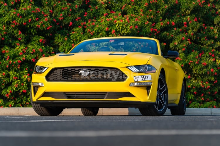 Amarillo Ford Mustang cabrio en alquiler en Abu-Dhabi 3