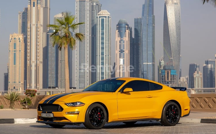 Jaune Ford Mustang en location à Sharjah