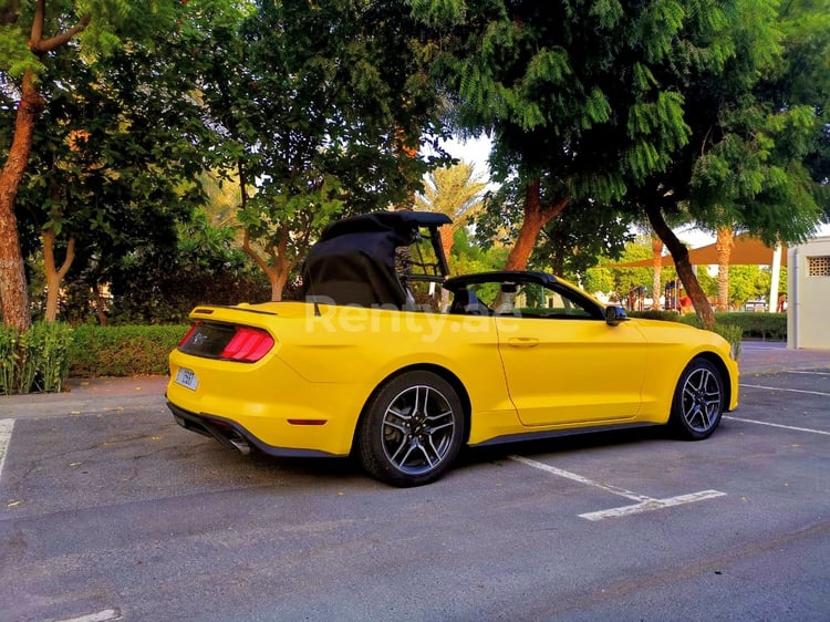 Jaune Ford Mustang cabrio en location à Abu-Dhabi 1