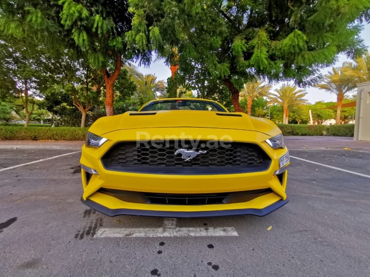 Giallo Ford Mustang cabrio in affitto a Abu-Dhabi 2