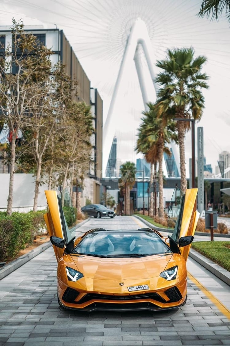 在迪拜租赁黄色 Lamborghini Aventador Roadster 7