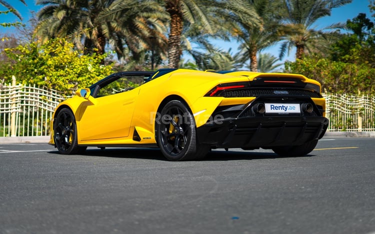 الأصفر Lamborghini Evo Spyder للإيجار في أبو ظبي 1