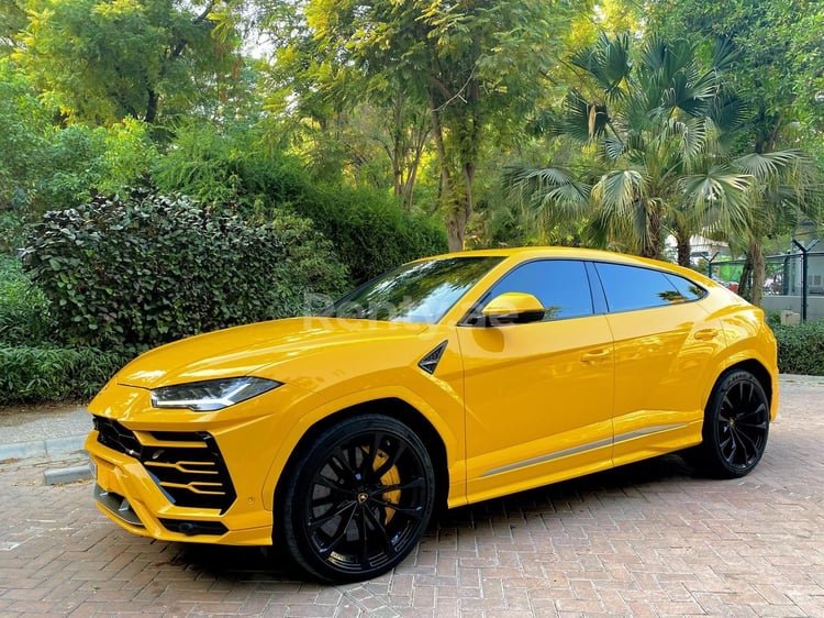 Amarillo Lamborghini Urus en alquiler en Dubai 6