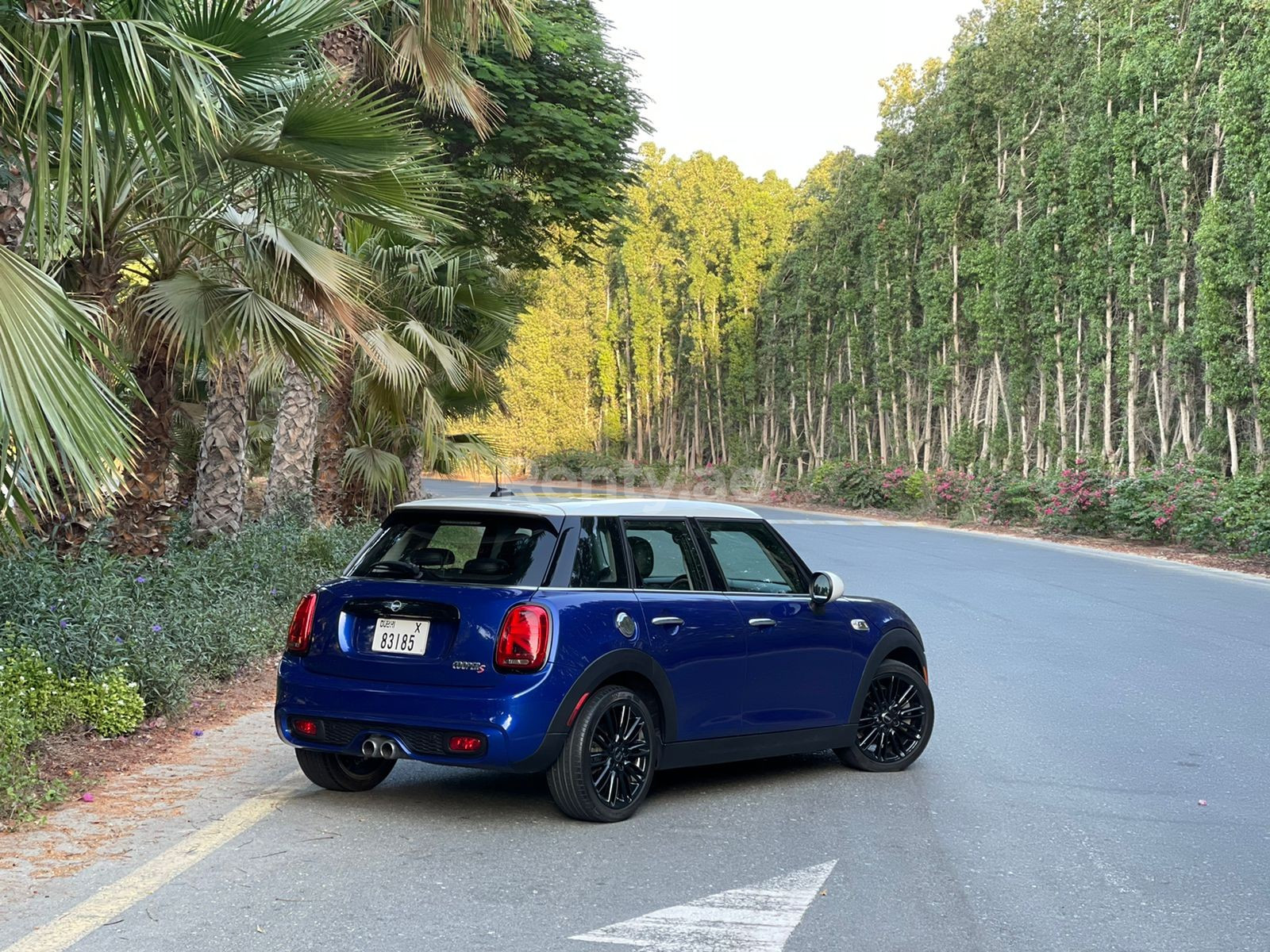 Bleue Mini Cooper S en location à Dubai 4