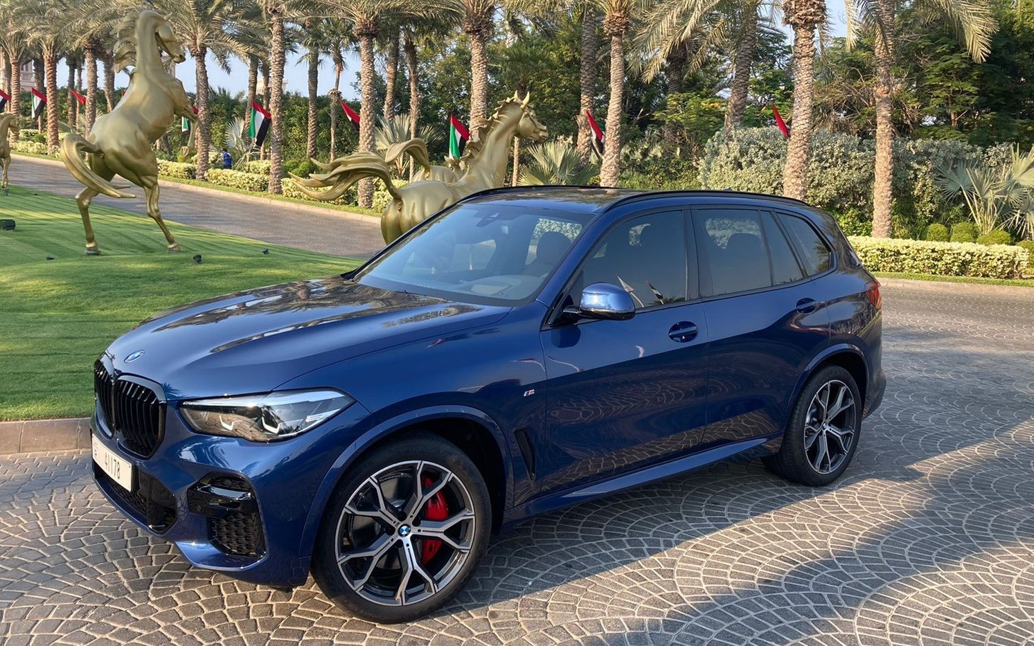 Bleu Foncé BMW X5 en location à Sharjah