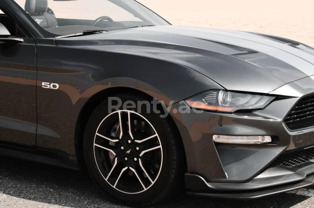 Dunkelgrau Ford Mustang cabrio V8 zur Miete in Abu-Dhabi 1