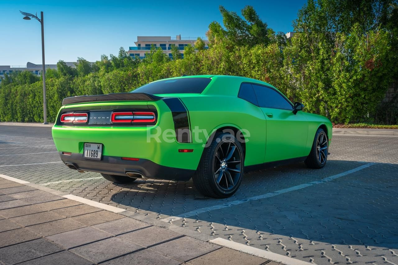 Зеленый Dodge Challenger в аренду в Абу-Даби 0