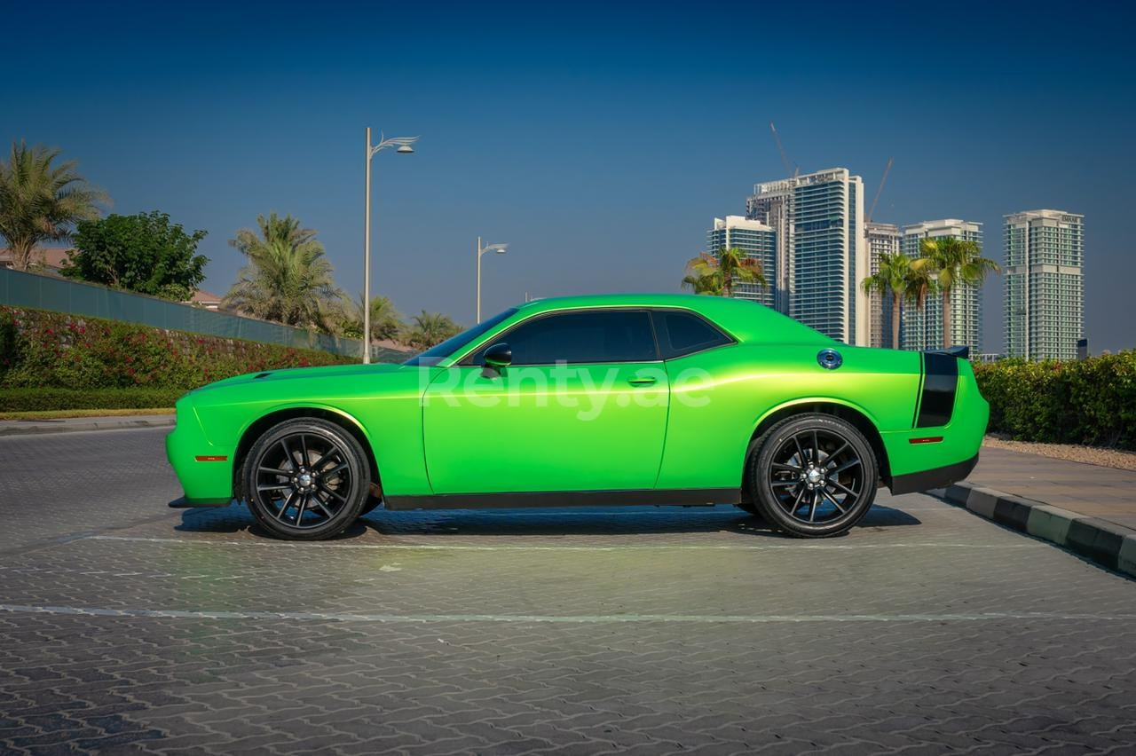 Verte Dodge Challenger en location à Dubai 2