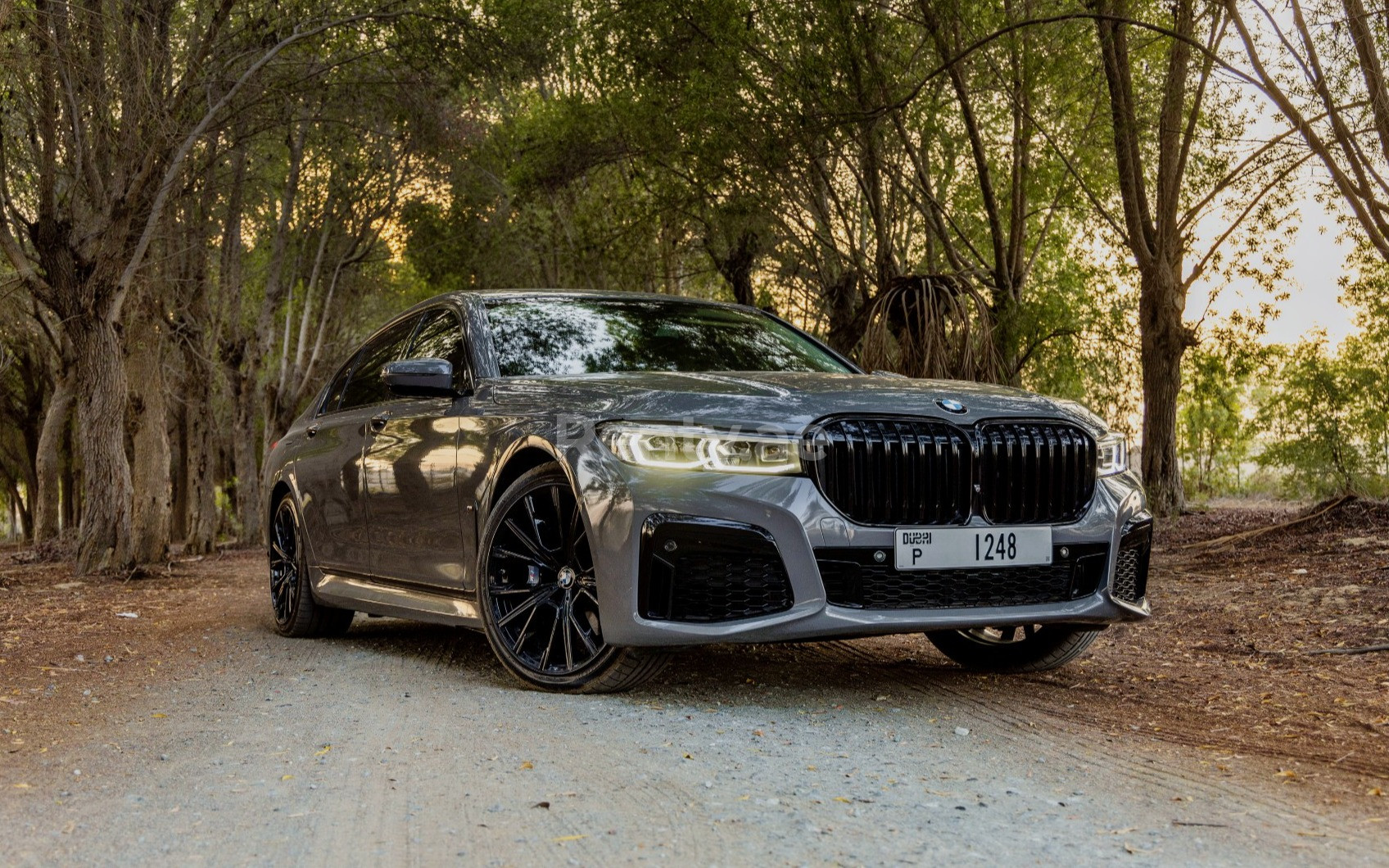 Grau BMW 7 Series zur Miete in Sharjah