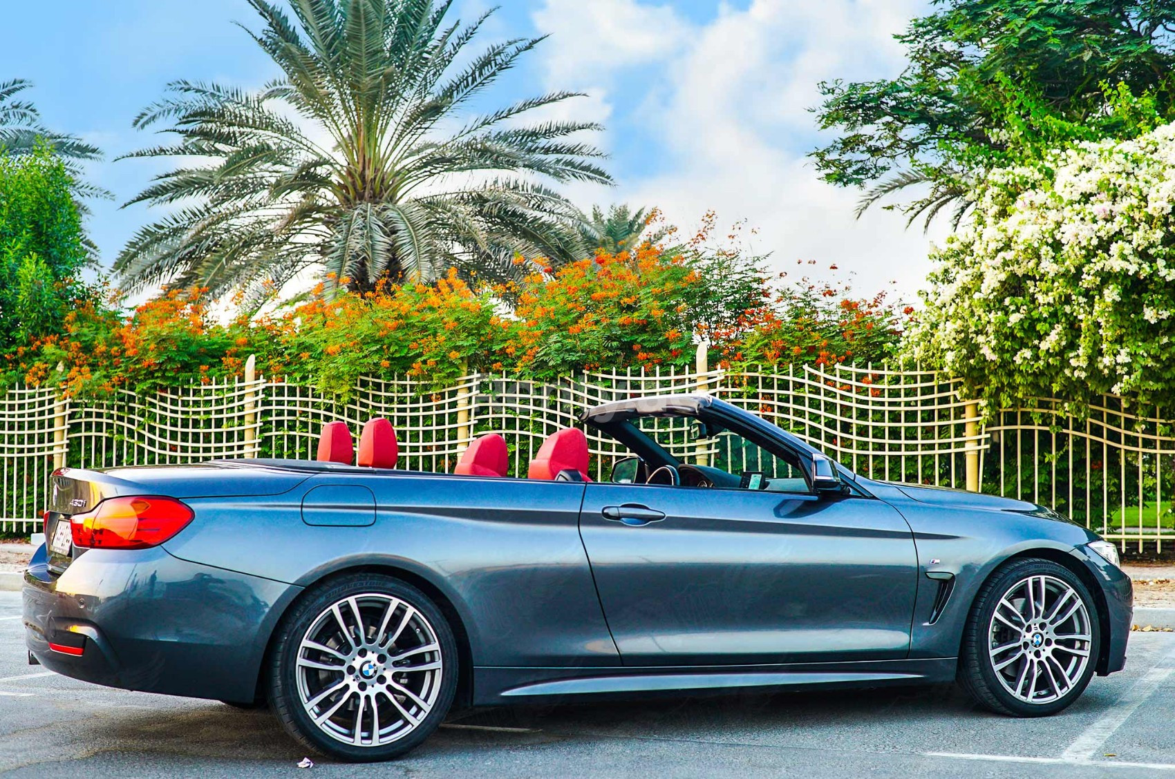 Grey BMW 430 Cabriolet for rent in Dubai 3