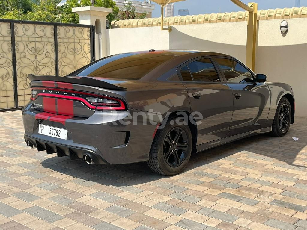 Grey Dodge Charger for rent in Sharjah 4