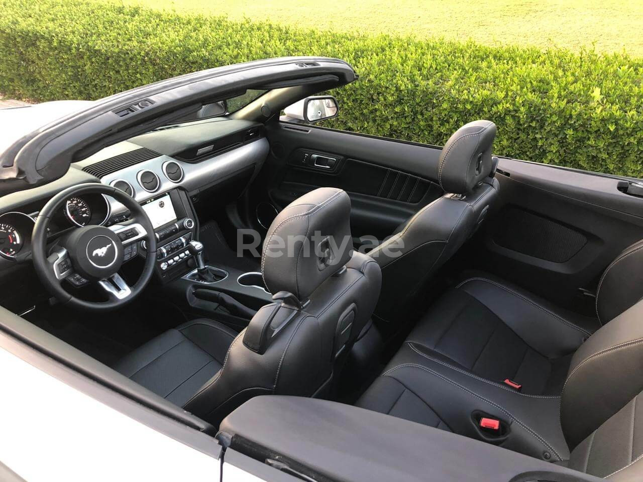 Grey Ford Mustang for rent in Sharjah 2